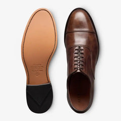 Park Avenue Cap-toe Oxford Dress Shoe Brown Museum Leather