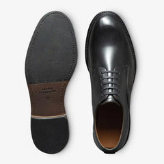 Trevor Plain-toe Derby Shoe Black Leather